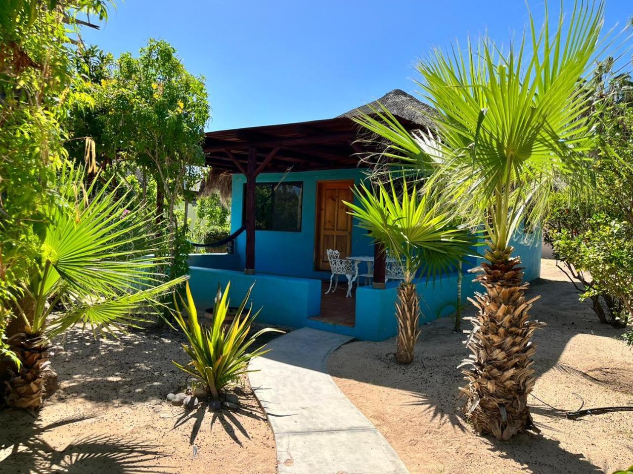 Cabo Pulmo Beach Resort Εξωτερικό φωτογραφία